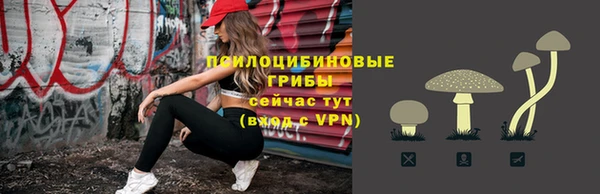 стаф Михайловск