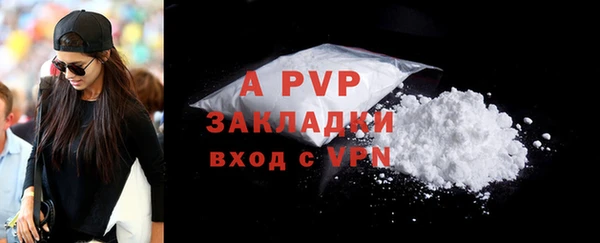 PSILOCYBIN Михайловка
