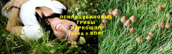 PSILOCYBIN Михайловка