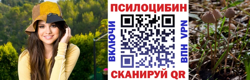 Галлюциногенные грибы Psilocybine cubensis  Мурино 