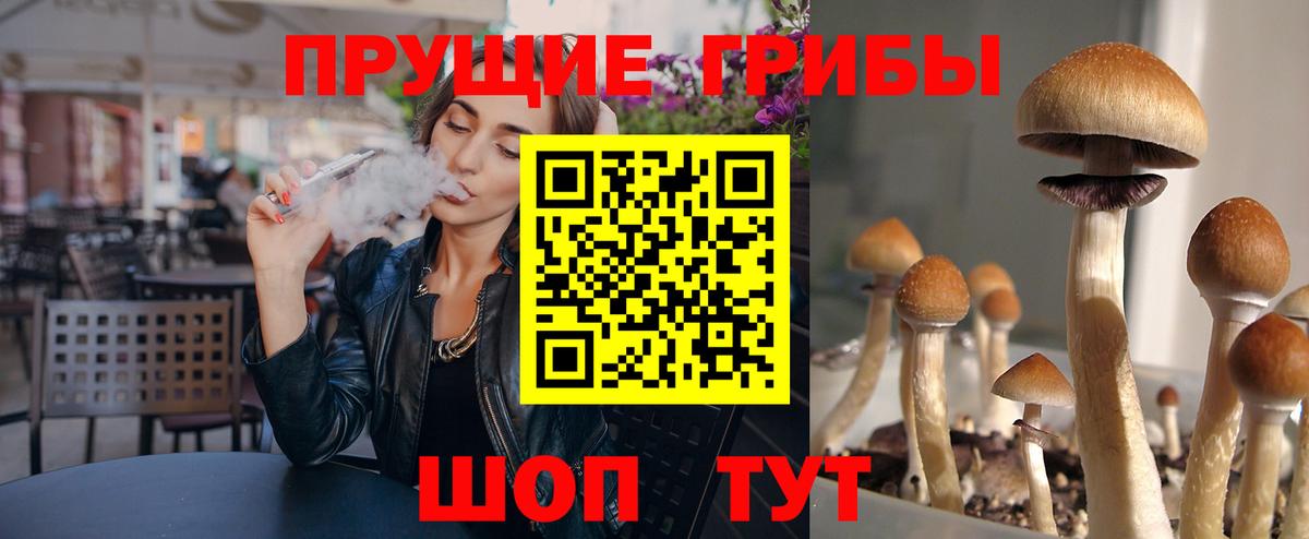 Галлюциногенные грибы Cubensis  Вход с VPN  Мурино 