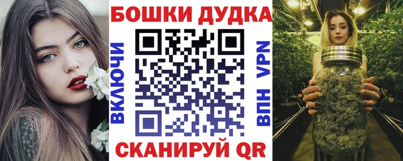 Бошки Шишки ГИДРОПОН купить закладку Мурино